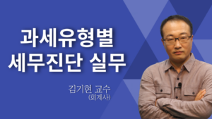 과세유형별 세무진단 실무 – 김기현
